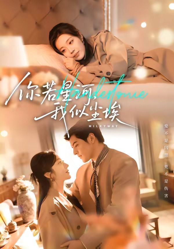 你若星河，我似尘埃 封面