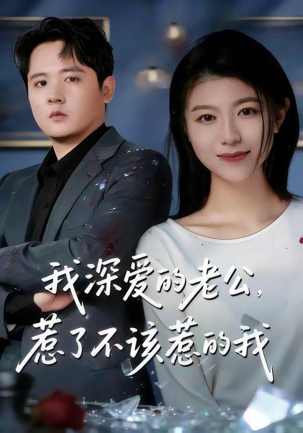 我深爱的老公，惹了不该惹的我 封面