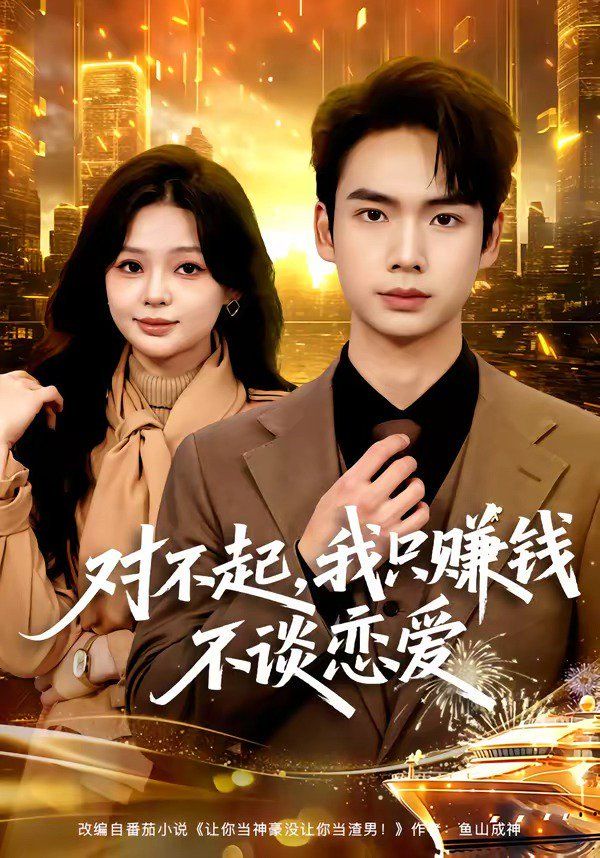对不起，我只赚钱不谈恋爱 封面