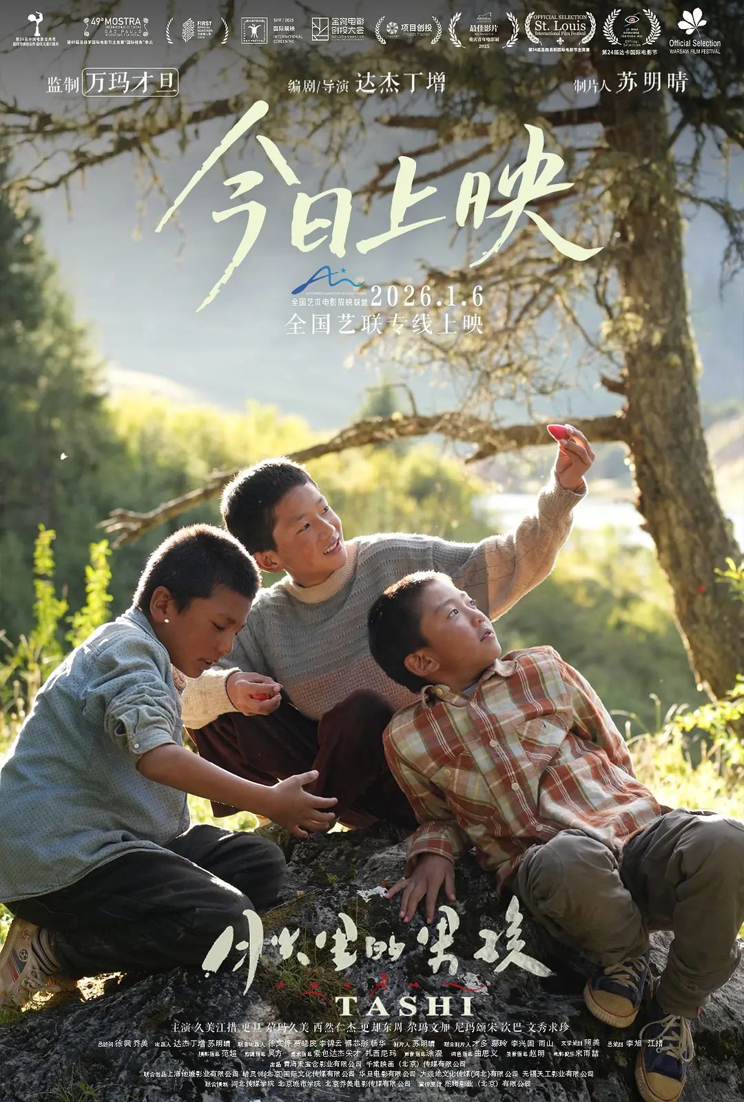 月光里的男孩 热播剧封面