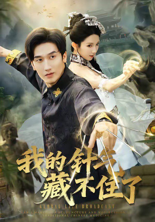 我的针气藏不住了 封面