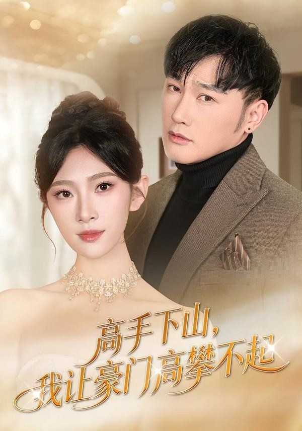 高手下山，我让豪门高攀不起 封面