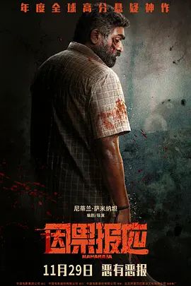 因果报应（2024） 封面