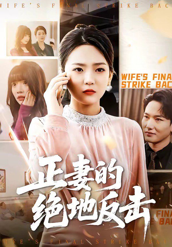 正妻的绝地反击 高清封面