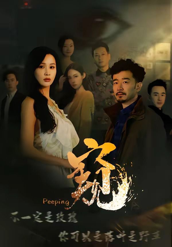 窥（窥伺） 封面