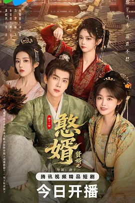 贤婿之憨婿 高清封面