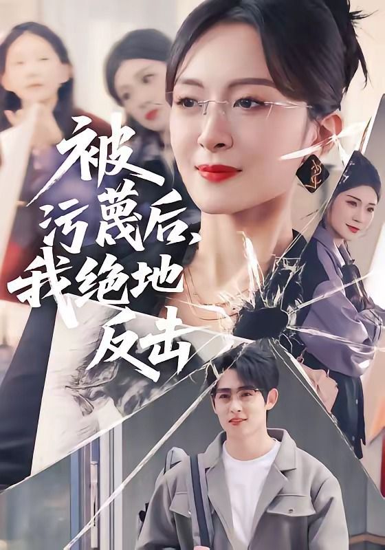 被污蔑后，我绝地反击 高清封面