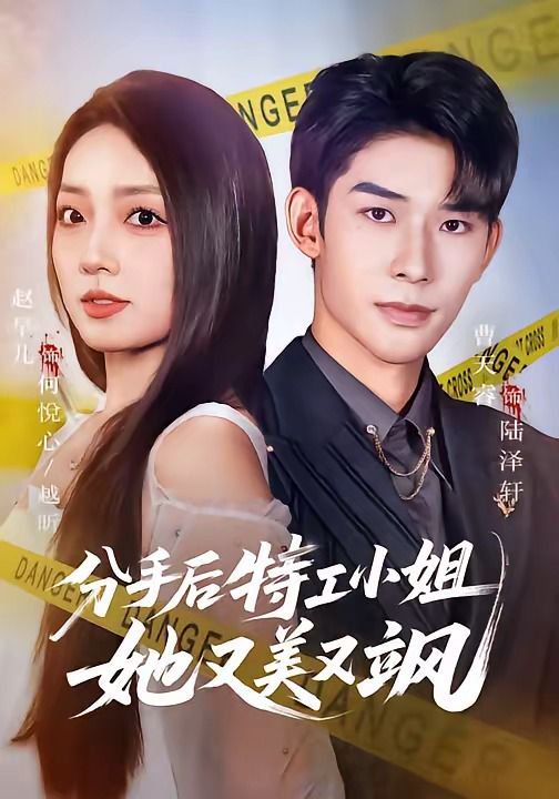 分手后特工小姐她又美又飒 封面
