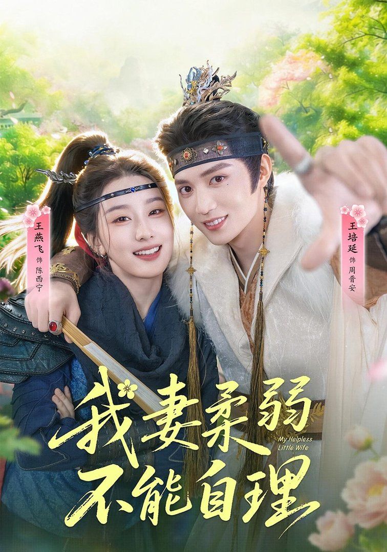 我妻柔弱不能自理 封面