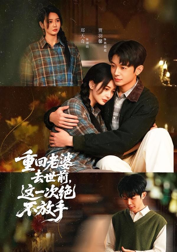 重回老婆去世前，这一次绝不放手 封面