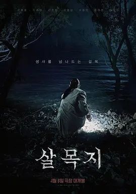 杀木地 热播剧封面
