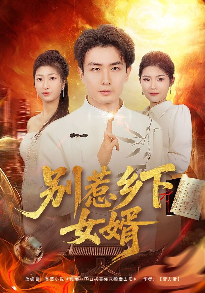 别惹乡下女婿 封面