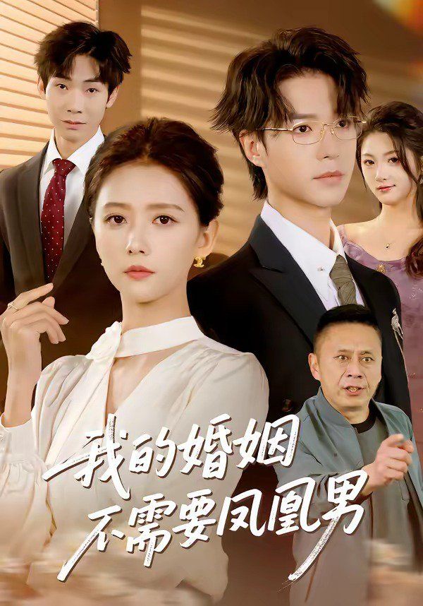 我的婚姻不需要凤凰男 封面