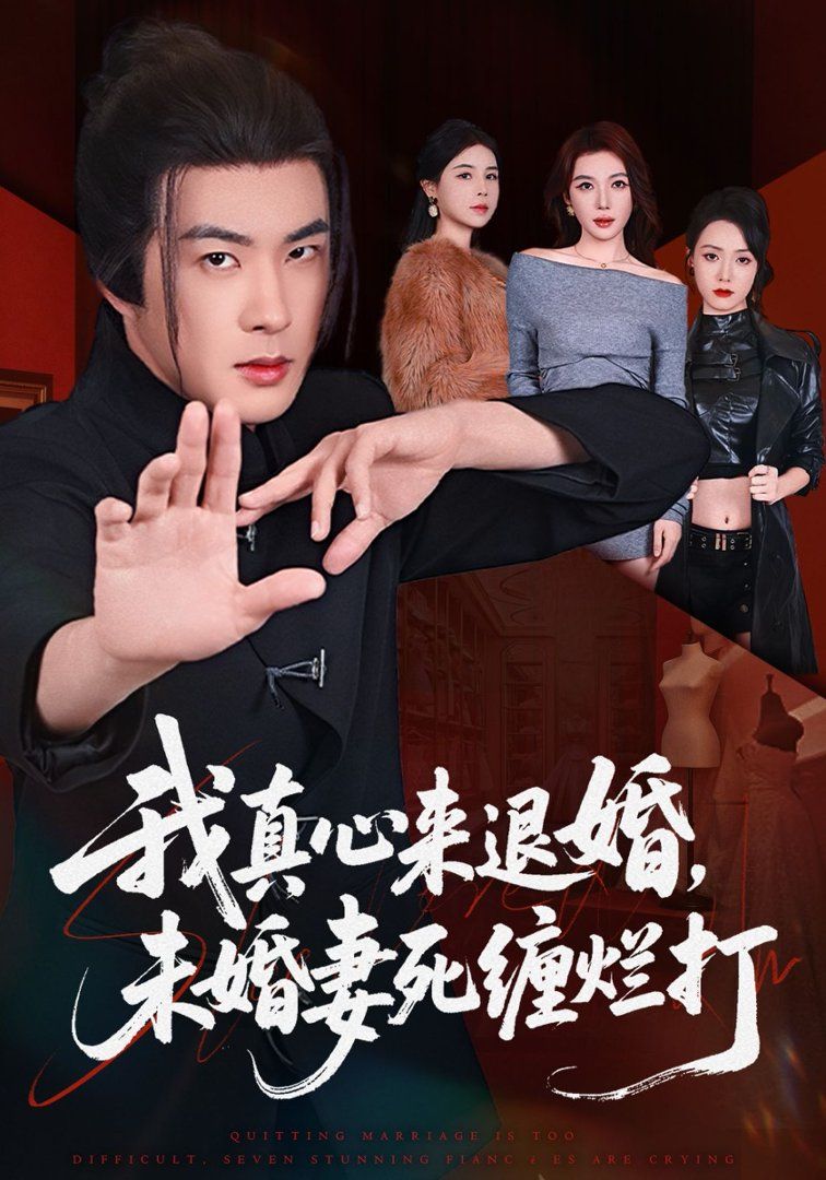 我真心来退婚，未婚妻死缠烂打 封面