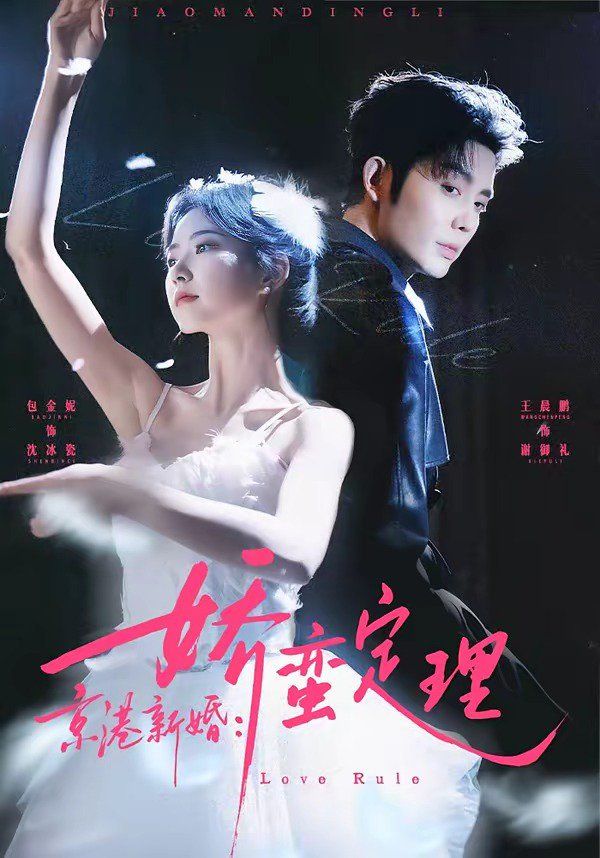 京港新婚：娇蛮定理 封面