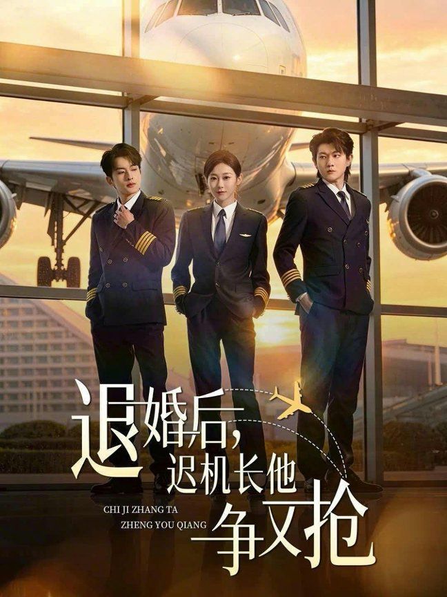 退婚后，迟机长他争又抢 封面