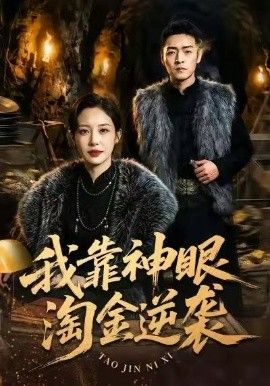 我靠神眼淘金逆袭 封面