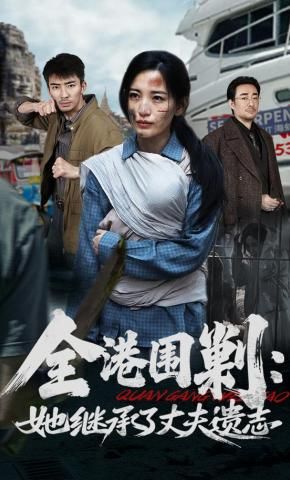 全港围剿：她继承了丈夫遗志 封面