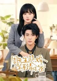 周先生隐婚关系请保密 封面