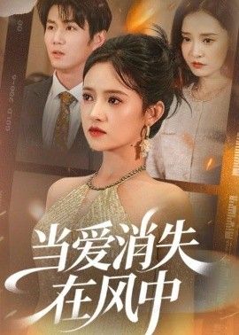 当爱消失在风中 封面