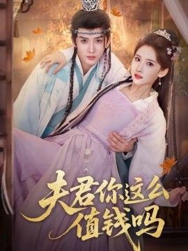夫君你这么值钱吗 封面