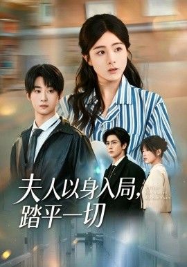 夫人以身入局，踏平一切 封面
