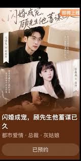闪婚成宠，顾先生他蓄谋已久 封面