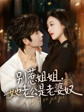 别惹姐姐，她老公是老婆奴 高清封面