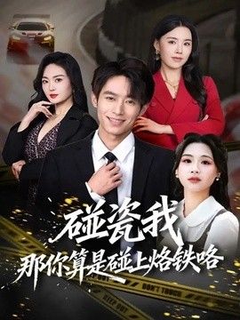 碰瓷我那你算是碰上烙铁咯 封面