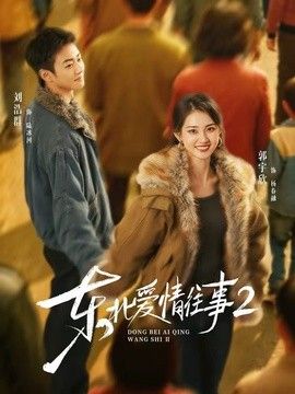 东北爱情往事2 封面
