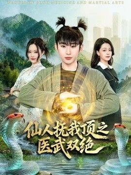 仙人抚我顶之医武双绝 封面