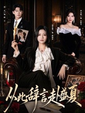 从此辞言赴盛夏 封面