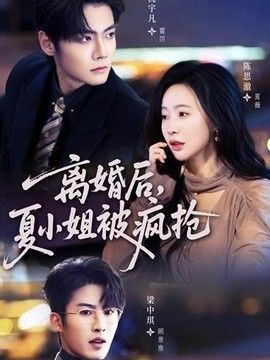 离婚后，夏小姐被疯抢 高清封面