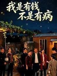 我是有钱，不是有病 高清封面