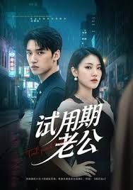 试用期老公 高清封面