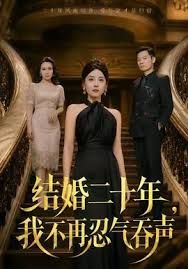 结婚二十年，我不再忍气吞声 高清封面