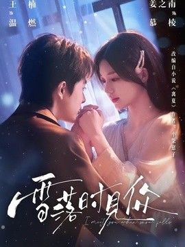 雪落时见你 封面
