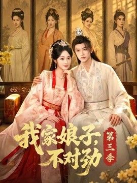 我家娘子，不对劲第三季 高清封面