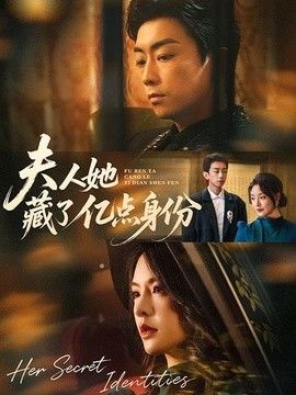 夫人她藏了亿点身份 封面