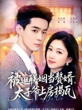 被迫联姻当赘婿，太子爷上房揭瓦 封面