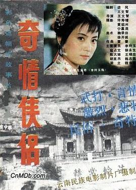 奇情侠侣 封面