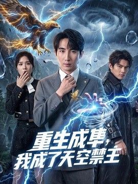 重生成隼，我成了天空禁主 封面