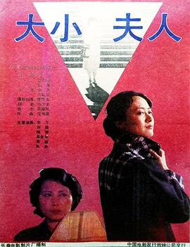 大小夫人 封面