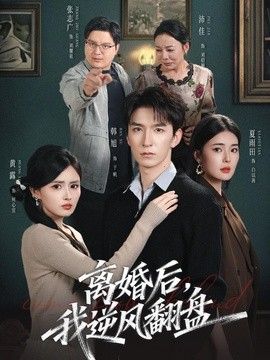 离婚后，我逆风翻盘 高清封面
