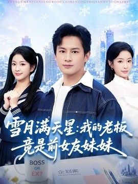 雪月满天星：我的老板竟是前女友妹妹 高清封面