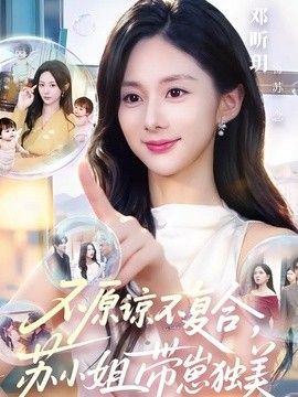 不原谅不复合，苏小姐带崽独美 高清封面