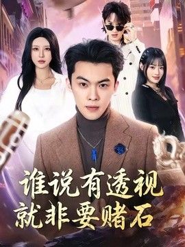 谁说有透视就非要赌石 封面