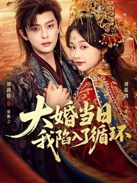 大婚当日，我陷入了循环 高清封面