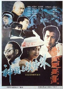 神猫与铁蜘蛛 封面