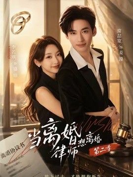 当离婚律师想离婚第二季 高清封面